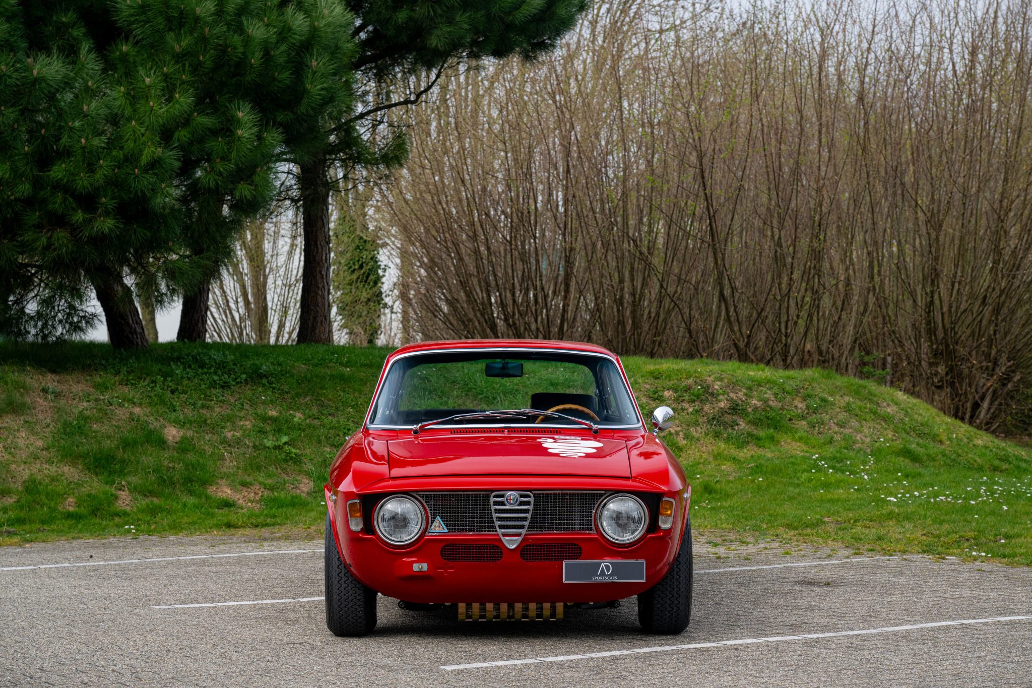 _DSC1562