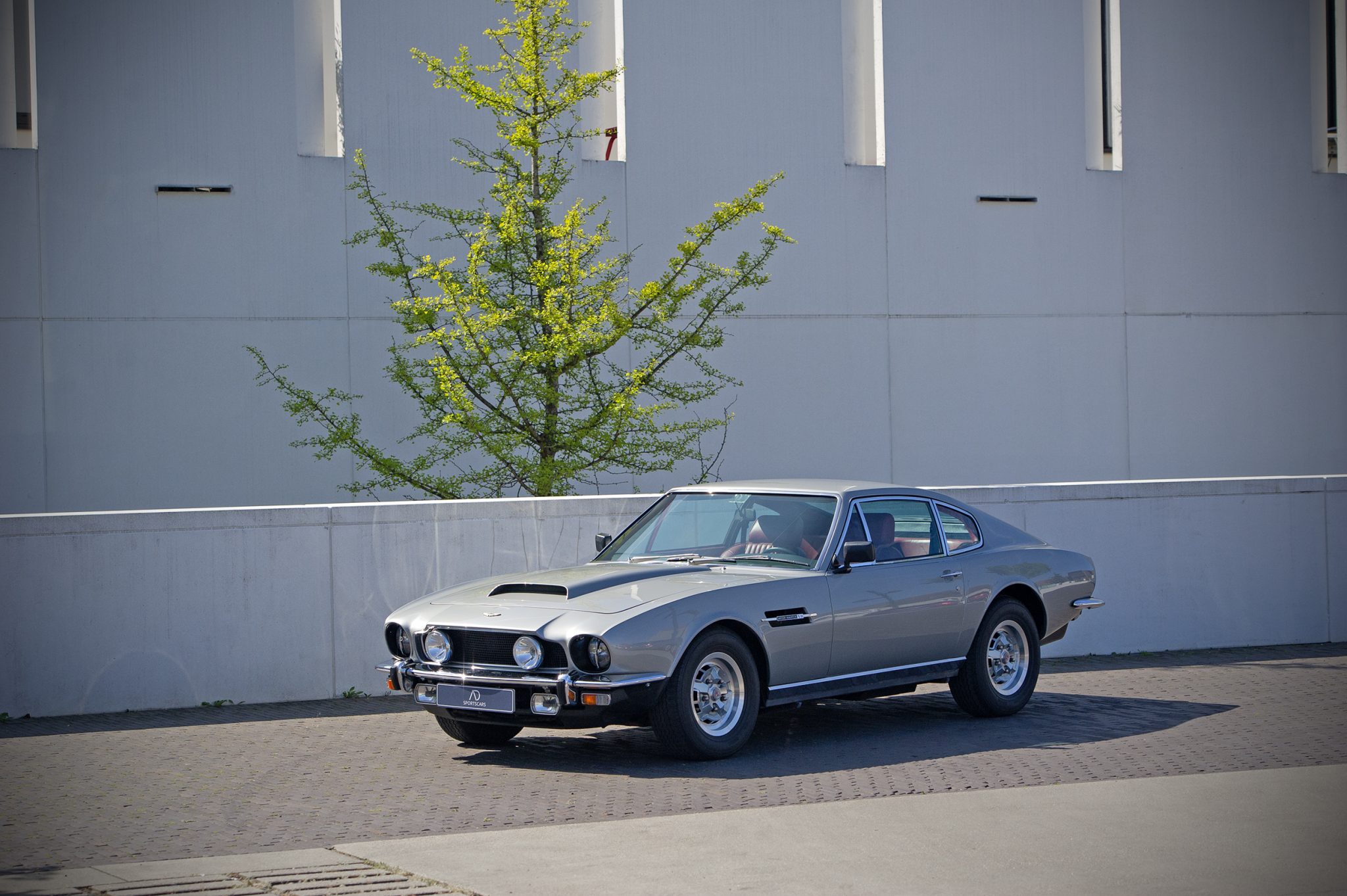 D3S_9101b