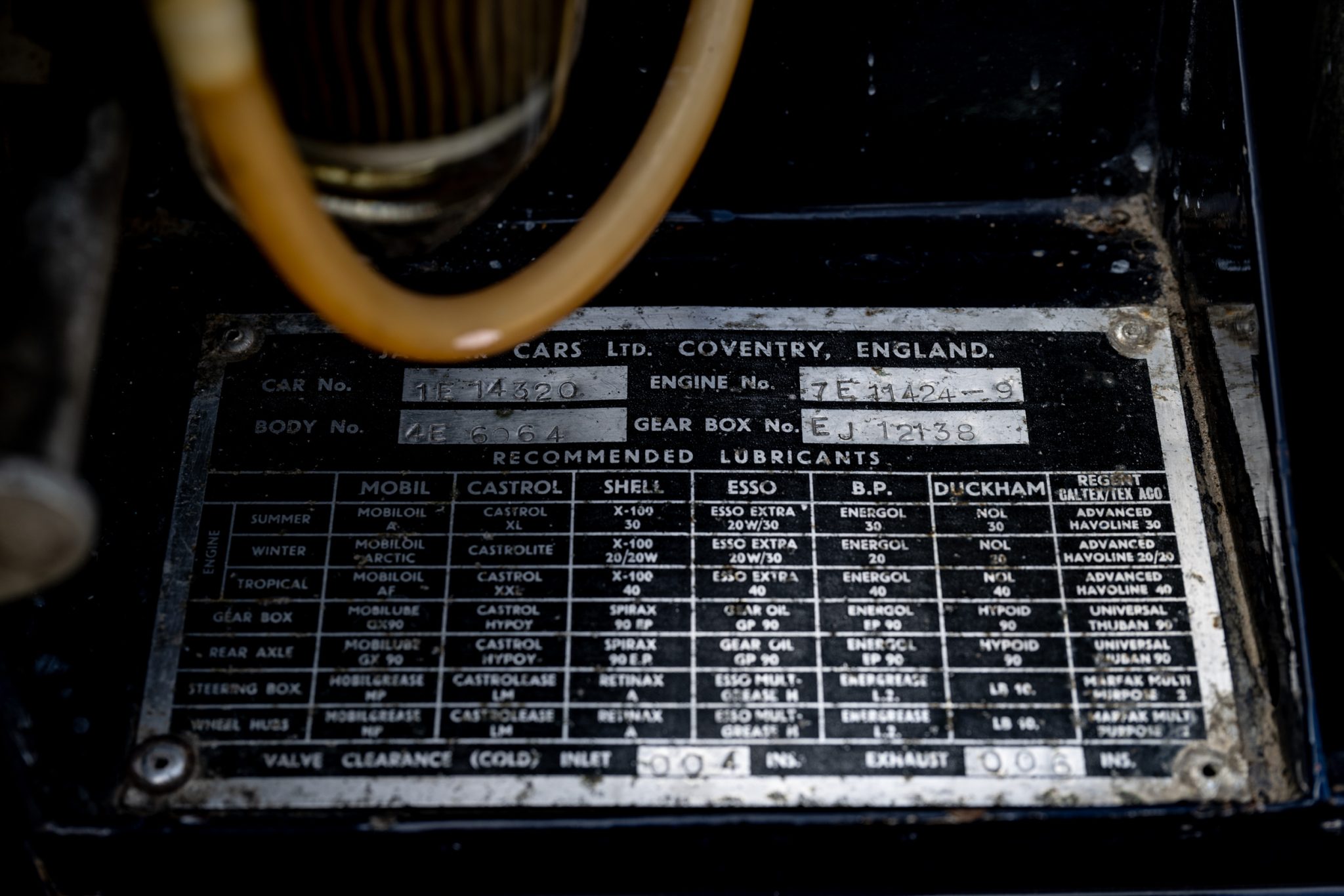 _DSC3151